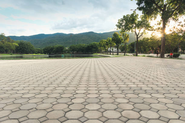 Best Driveway Pavers Near Me  in Oak Grove, VA